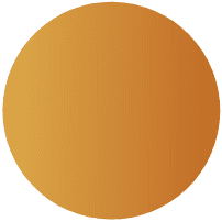 demo-attachment-571-Ellipse-7