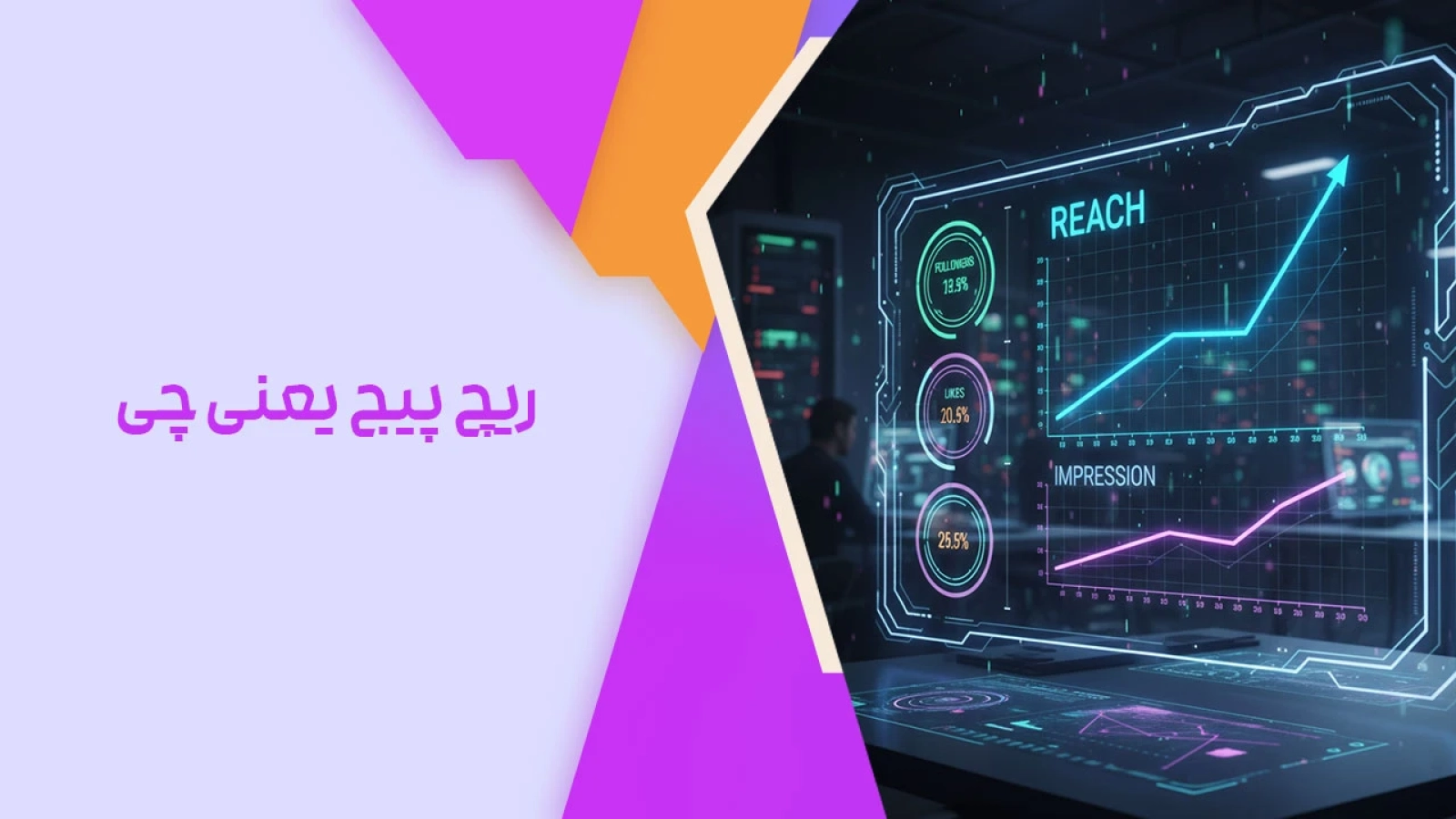 ریچ پیج یعنی چی